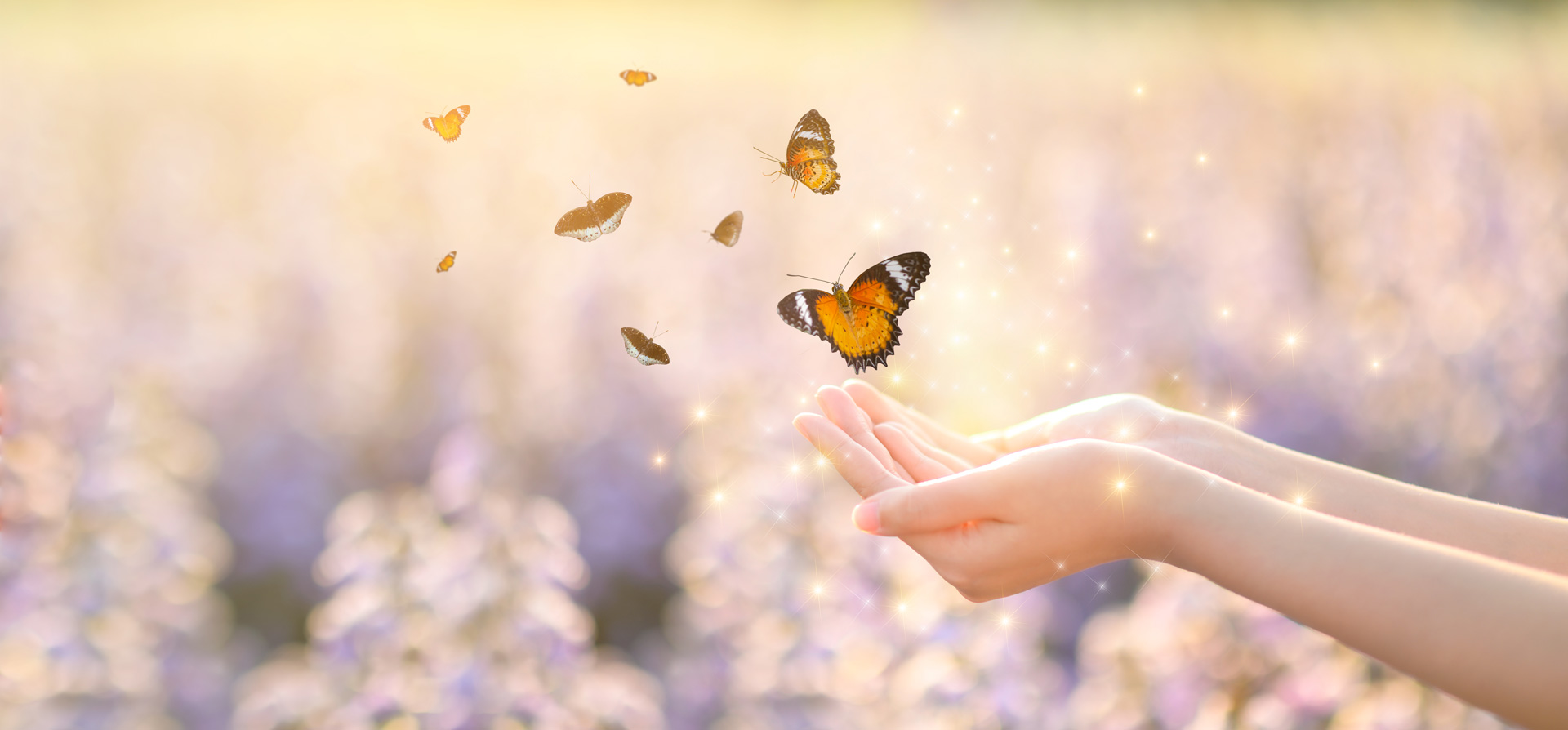 Harmonious Health 4 Life